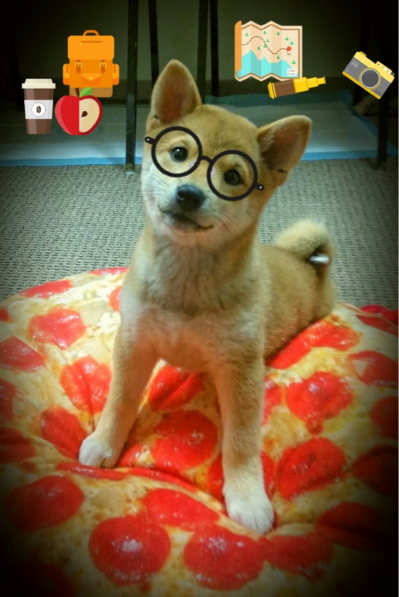 雷霆新纪元，福克斯关键绽放，西部新王宣告崛起