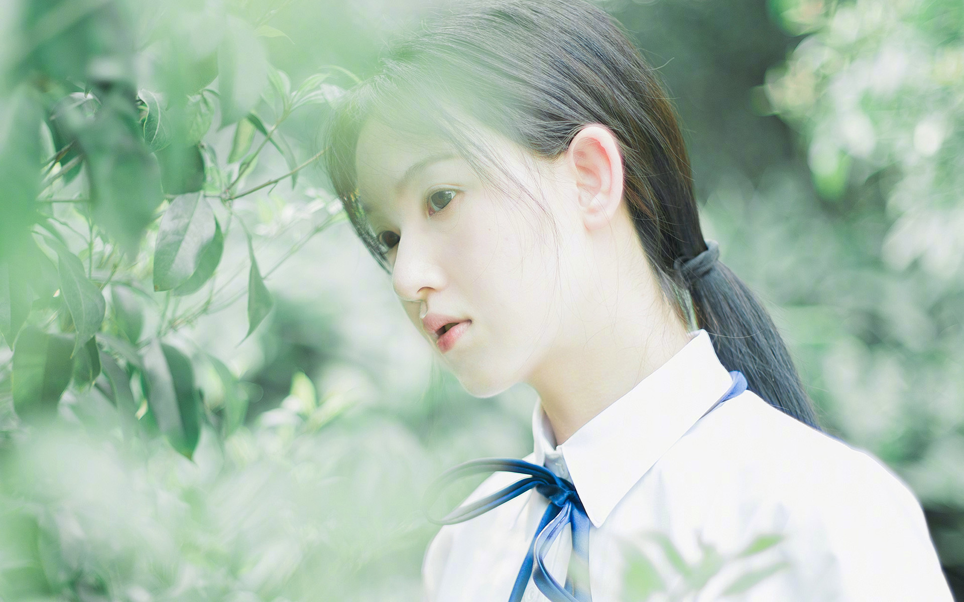 篮网轻取凯尔特人,克莱世界赛接管,篮球之夜的全球辉映